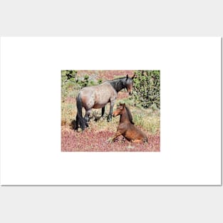 Wild horses, mustangs, wildlife, Precious Moment Posters and Art